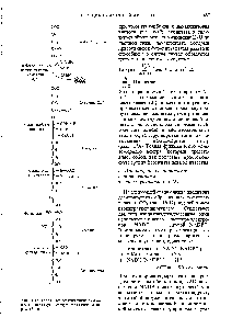Рис. 16-13. Остальные реакции цикла лимонной кислоты (предшествующие стадии см. на рис. 16-12).