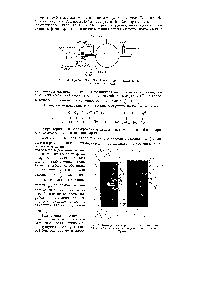 Рис. 24. Фотограммы парабол, полученных Томсоном в случае, когда прибор был наполнен воздухом