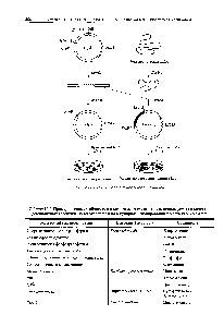 Таблица 12.2. <a href="/info/1868797">Примеры генов</a> устойчивости к <a href="/info/2527">химическим соединениям</a>, используемых в качестве доминантных селективных маркеров при <a href="/info/33119">молекулярном клонировании</a> в клетках S. erevisiae