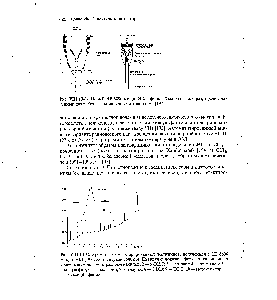 Рис. VIII. 13-В. Хроматограмма хлорированных пестицидов, полученная с НР 6890 микро-ЭЗД [197]. Концентрация 500 ppt. На рисунке показана <a href="/info/250475">форма пика</a> линдана и <a href="/info/583681">уровень шумов</a> 1 — тетрахлор-м-ксилол 2 — а-ВНС 3 — линдан 4 — гептахлор 5 — эндосульфан 6 — диэльдрин 7 — эндрин 8 — DDD 9 — DDT 10 — метоксихлор 11