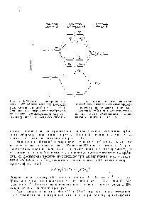 Рис. 12-13. <a href="/info/463287">Энергетические уровни</a> молекулы АВ <a href="/info/1233794">общего типа</a>, где В-более электроотрицательный элемент, чем А. Сравните эту диаграмму с изображенной на рис. 12-8 <a href="/info/18092">диаграммой энергетических</a> уровней молекулы АА. Чем бо-