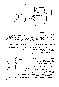 Рис. XV. 43. <a href="/info/890644">Газовая схема</a> радиохроматографа [24.31.