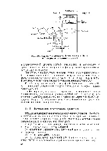 Рис. 3.8. Роль <a href="/info/91078">фосфотрансферазной системы</a> в <a href="/info/100161">катаболитной репрессии</a> (пояснения в тексте)