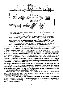 Рис. 2.4. <a href="/info/983683">Схема технологического процесса производства</a> труб на агрегатах с пилигримовым станом 