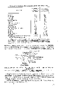 Рис. 79. <a href="/info/24285">Принципиальная схема</a> извлечения бутадиена-1,3 экстракцией К-метил-