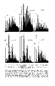 Рис. 14. Хроматограммы бензокарбазолов и их алкилпроизводных. Условия съемки