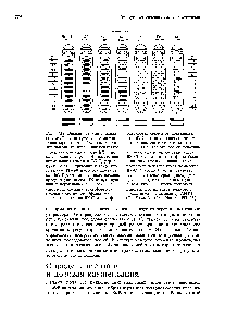 Рис. 17.19. Влияние утраты функции гена е5с на детерминацию сегментации мутантных эмбрионов на стадии выхода из яйца. Взаимодействие с различными генотипами ВХ-С показано слева направо. В <a href="/info/836753">присутствии нормального</a> генотипа ВХ-С, утрата функции е5с приводит к тому, что сегменты Т1 -Б8 дифференцируются как Б8. Кроме того, у таких личинок присутствует сегмент Б9 (отсутствующий у нормальных личинок) и наблюдается сложная трансформация головных сегментов. Эффект <a href="/info/1895250">мутантных генотипов</a> ВХ-С на диффе-