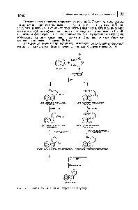 Рис. 35.3. <a href="/info/37305">Синтез производных</a> фенантрена по Хеуорсу.