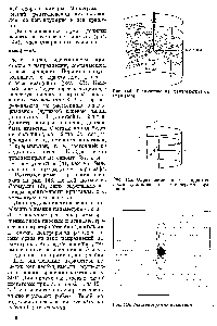 Рис. 145. <a href="/info/980139">Определение периода идентичности</a> кристалла по рентгенограмме вращения
