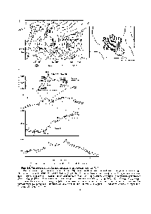 Рис. 6.4. <a href="/info/1892054">Гидротермальные области</a> в пределах гидротермального поля ТАГ