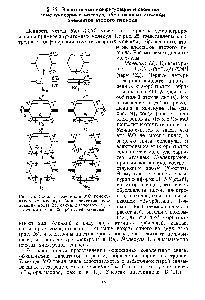 Рис. 25. Схема заселенности МО гомонуклеарных молекул (для элементов, следующих после Ве, <a href="/info/1763887">схемы полностью</a> заселенных als- и а25-орбиталей опущены)
