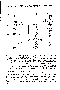Таблица 1У.2. <a href="/info/132766">Дипольные моменты галогенидов</a> элементов IV группы в <a href="/info/352836">различных растворителях</a> и <a href="/info/2775">теплоты образования</a> соответствующих комплексов