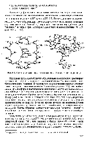 Рис. 4.8. <a href="/info/802811">Кристаллическая структура комплекса</a> 18-краун-6-диглицин-вода