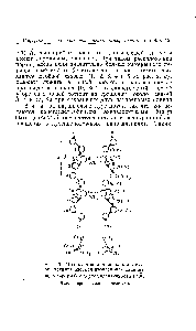 Рис. 3. <a href="/info/74803">Молекулярная модель</a>, для которой принята плоская изопреновая единица