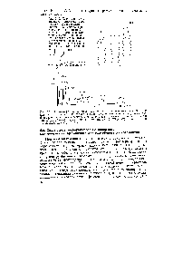 Рис. 5.12. <a href="/info/1593411">Структура сорбционного</a> комплекса, образуемого стационарныдг лигандом М-Ст-Ь-гидроксипро-пином, <a href="/info/337308">катионом меди</a> Си + и О- или -аминокислотой. V фиксируемой на хнраль-чом сорбенте аминокислоты R обозначает <a href="/info/272144">боковой радикал</a>, например Н для глицина, СНз для аланина, --СН,—
