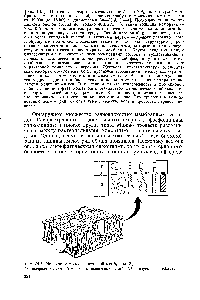 Рис. 10.1. <a href="/info/196239">Мозаичная модель</a> клеточной мембраны [3] 