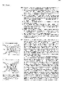 Рис. 8-17. Модель с образованием цистерн (А) и модель везикулярного транспорта (В) для <a href="/info/1896965">движения веществ через</a> <a href="/info/97362">аппарат Гольджи</a> (задача 8-32).