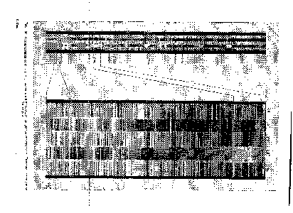 Рис. 130. Фотопластинка со спектрами, полученными на большом <a href="/info/19194">кварцевом спектрографе</a> Литтрова, выпущенном