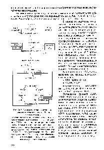 Рис. 20.7. Схема <a href="/info/1320858">регуляторных механизмов</a> <a href="/info/1463494">ряда процессов</a> <a href="/info/1302637">углеводного обмена</a> <a href="/info/1859601">млекопитающих реакции</a> катаболизма (гликогенолиз, гликолиз, <a href="/info/187911">окислительное декарбоксилирование пирувата</a>, цикл ТКК) — сплошные <a href="/info/250473">линии реакции</a> анаболизма (глюконеогенез, синтез гликогена) — пунктирные линии. <a href="/info/96997">Активация ферментов</a> (+) ингибирование (-). Главные регуляторные ферменты (Т) — гликогенфосфорилаза ( ) — фосфофруктокиназа (з) — пируватдекарбоксилаза (7)— изоцитратдегидрогеназа ( - пируваткарбоксилаза — гликогенсинтаза