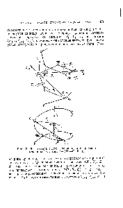 Рис. 10. Два набора систем координат в спиральной макромолекуле типа (—СНа— HR—) .
